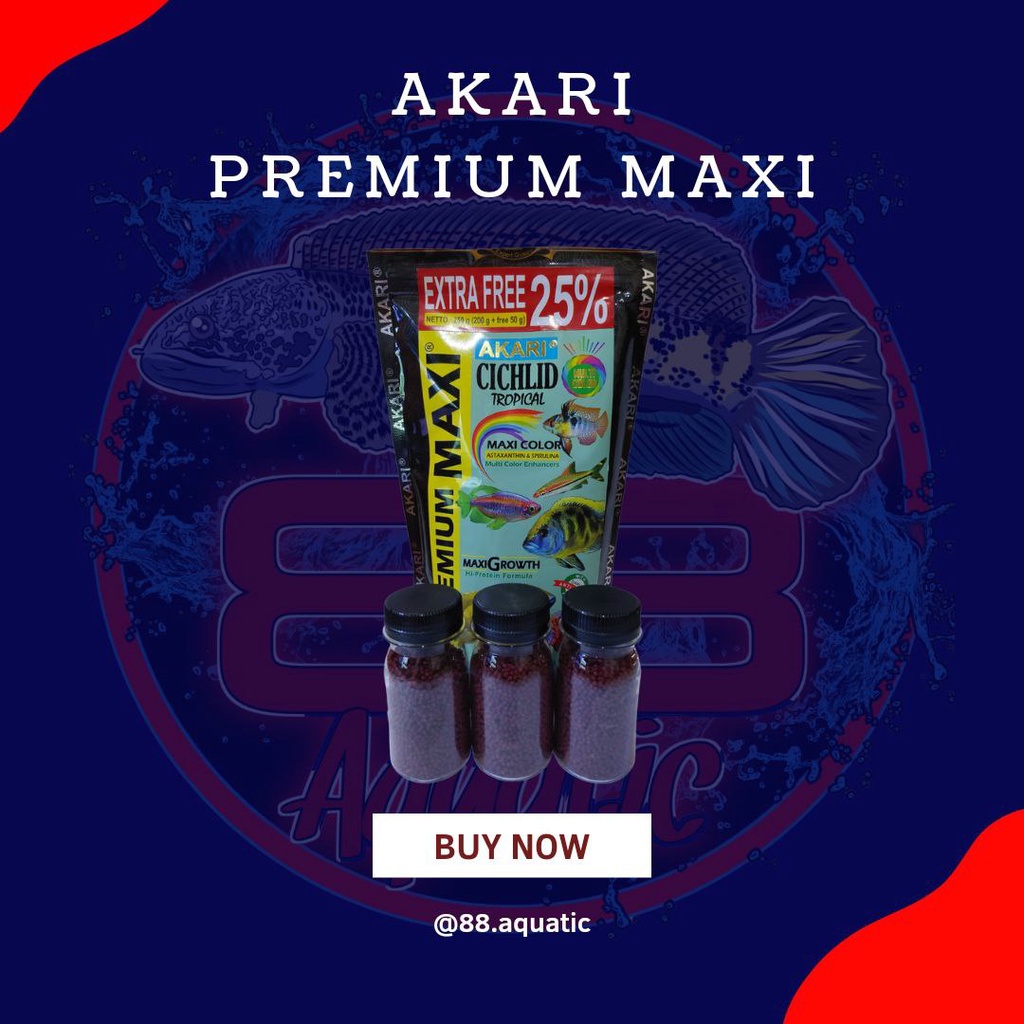Akari Premium Maxi 20gr Repack Pelet Pakan Ikan Channa Cichlid Murah