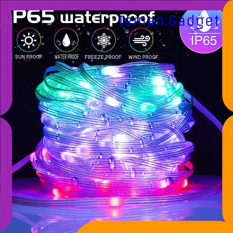 TG - LMP FLOVE Lampu Hias String Lights RGB Smart Bluetooth with Remote Control - FL22