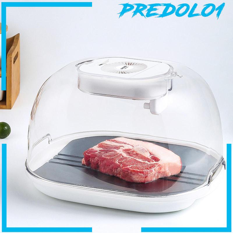 [Predolo1] Defroster Thawing Tray Untuk Makanan Mudah Bersih Pencair Daging