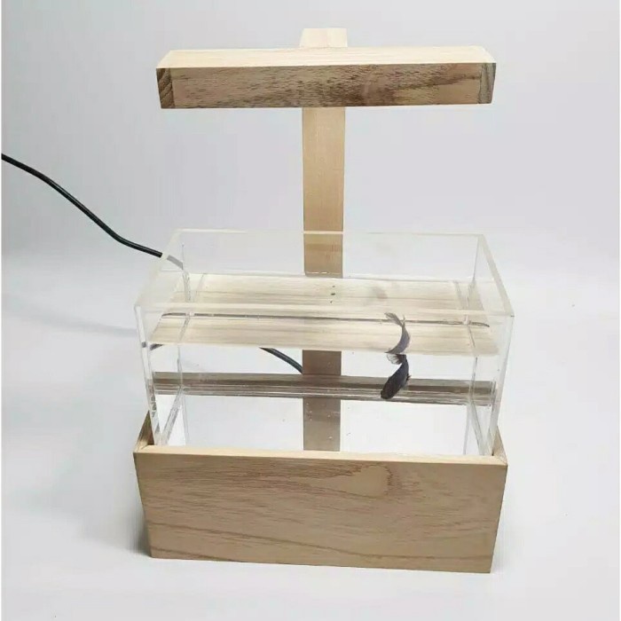 Mini Aquascape / Akuarium Mini Untuk Ikan Cupang