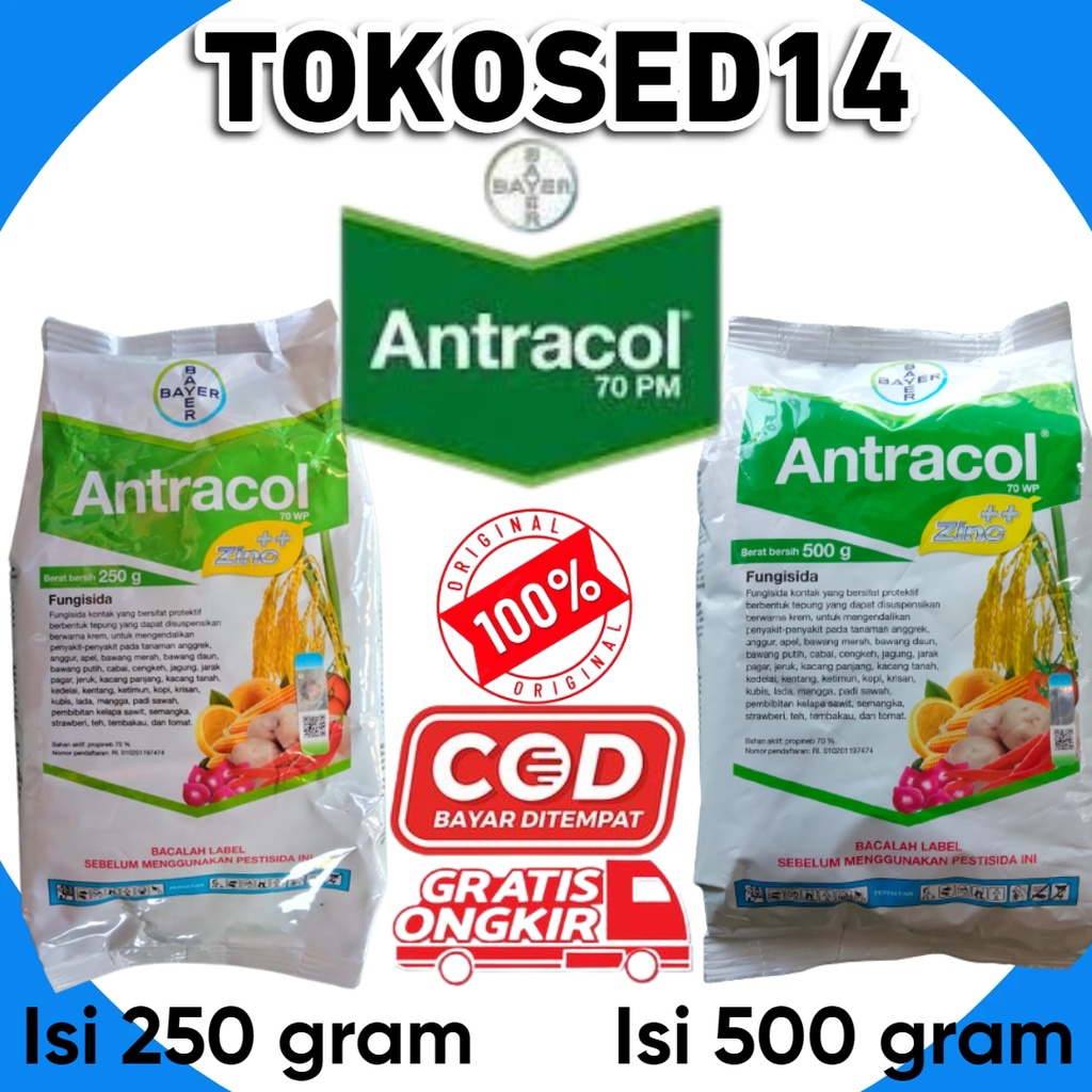 Antracol fungisida ++ zinc antrakol fungisida bayer 250  gr 500 gr fungisida pembasmi jamur tanaman 