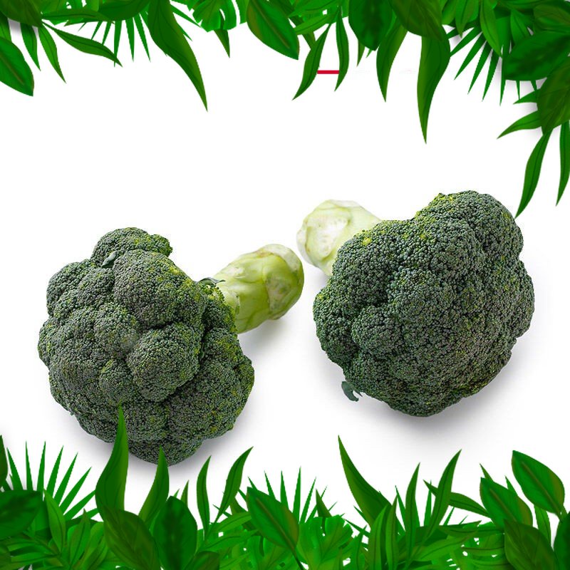 

Sayur Fresh Nuatara Brokoli Batang Bersih 300 - 500 gr