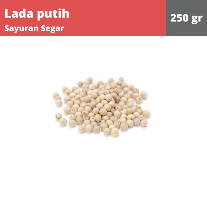 

Lada Putih Bulat