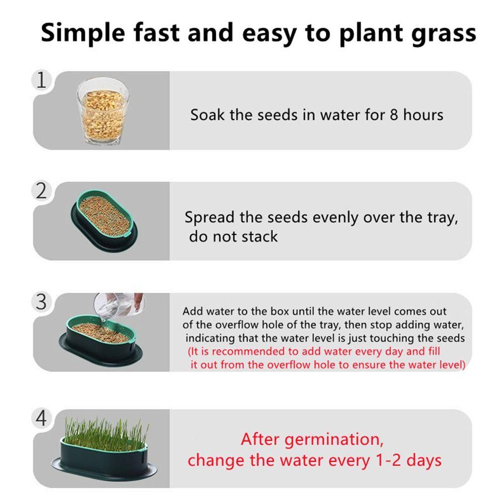 [Elegan] Sprout Dish Pencernaan Plastik Sehat Greenhouse Perlengkapan Hewan Peliharaan