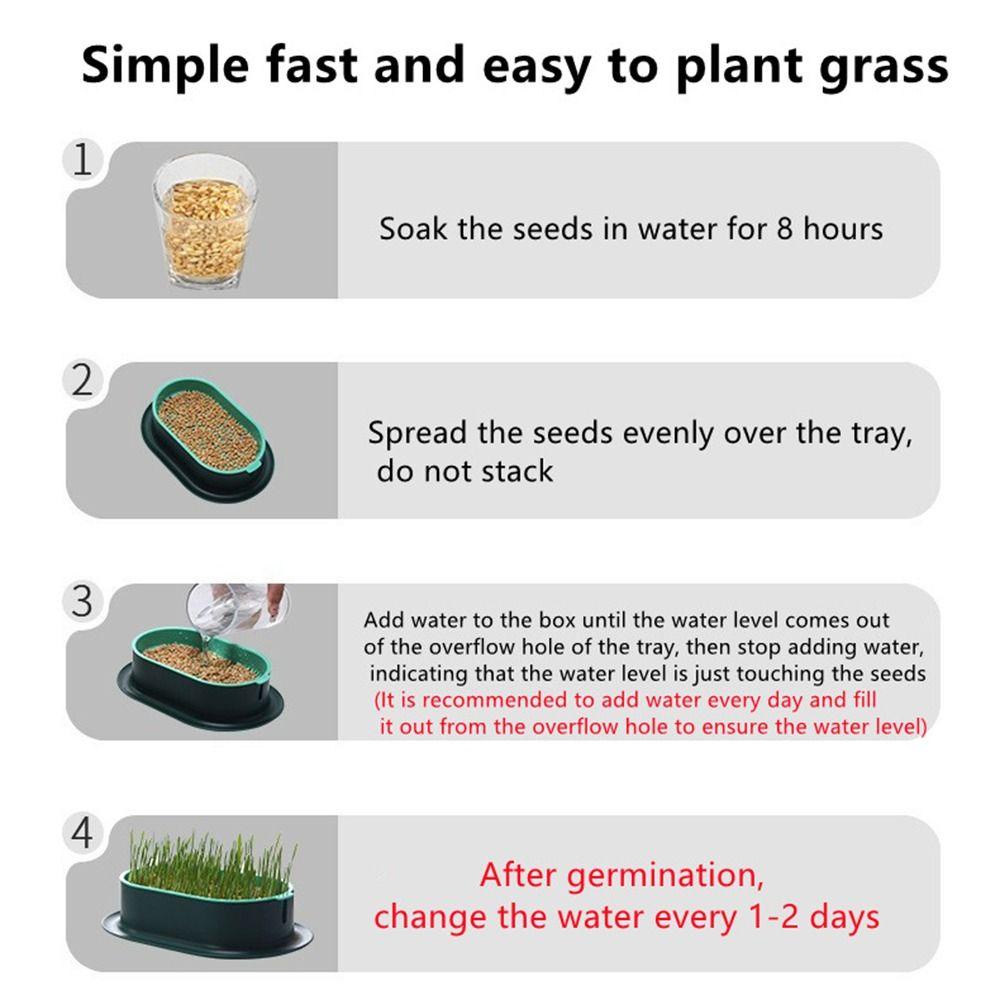 [Elegan] Sprout Dish Pencernaan Plastik Sehat Greenhouse Perlengkapan Hewan Peliharaan