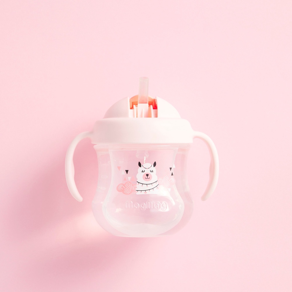 Pigeon Magmag Straw Cup New Edition