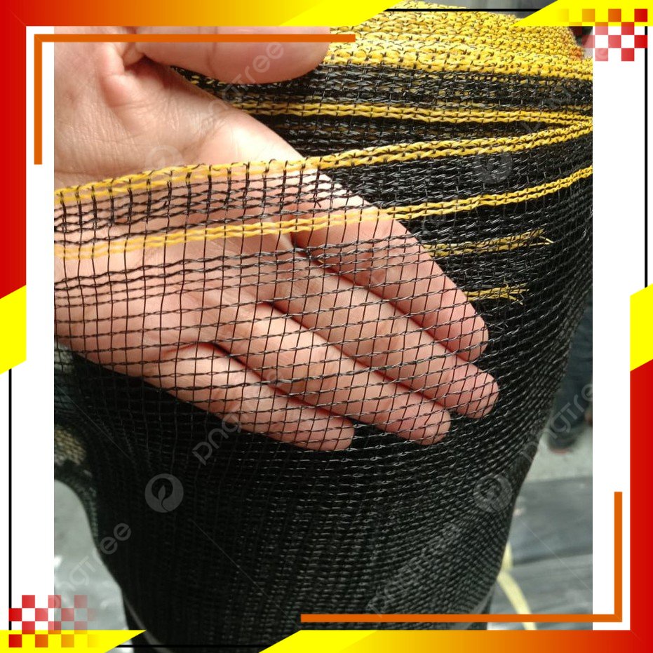 Waring Ikan Benang Single Waring hitam waring burung waring ikan waring pagar