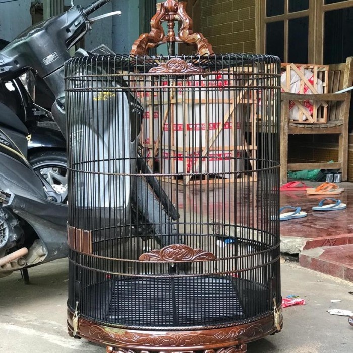 sangkar burung murai ukir, sangkar ukir murah, sangkar murai jati