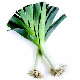 ISI 20 Biji Benih DAUN Bawang jepang/ Japanese Leek Seeds Garden Planting Vegetable Seeds