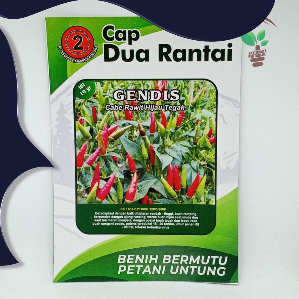 cabe rawit putih tegak BENIH CABE RAWIT 10 GRAM cap dua rantai Gendis