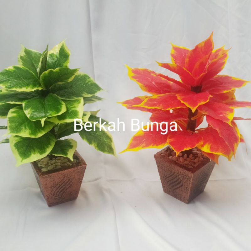 chingfu bonsai- shingfu bonsai- hiasan meja- dekorasi- pohon mini- pohon plastik