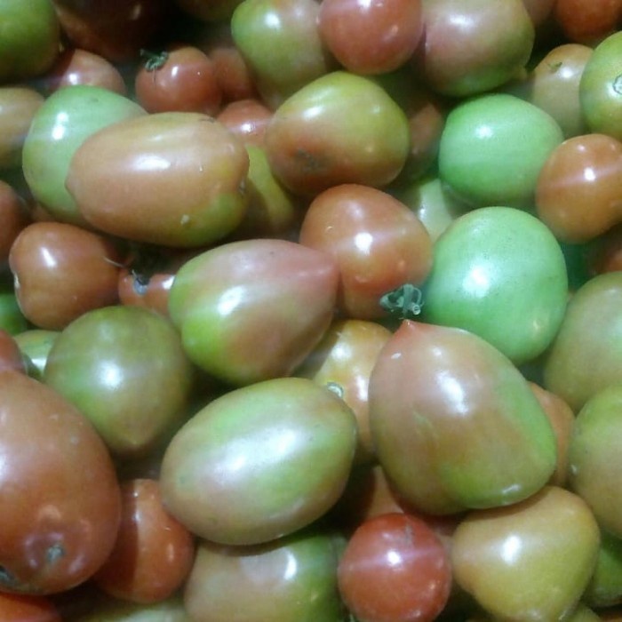

Tomat 250 gr - 1/4 kg