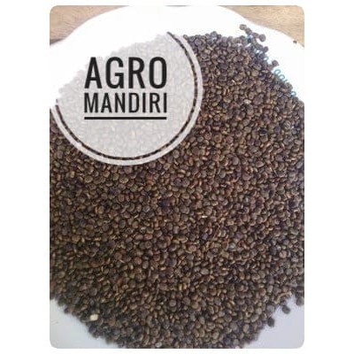 Benih Kacangan Legume Cover Crop CP 1 Kg Centrosema pubescens