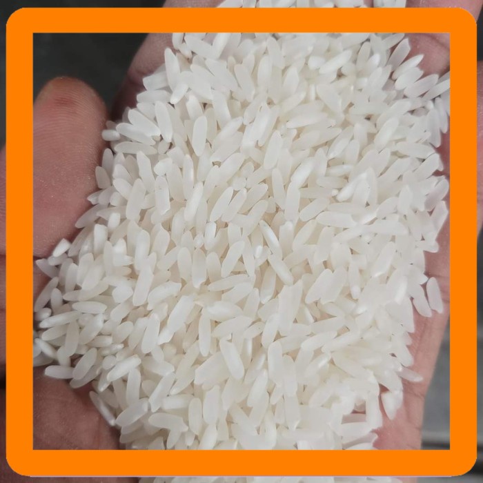 

beras jualbeli beras premium Best Seller