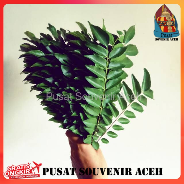 

Daun kari / salam koja