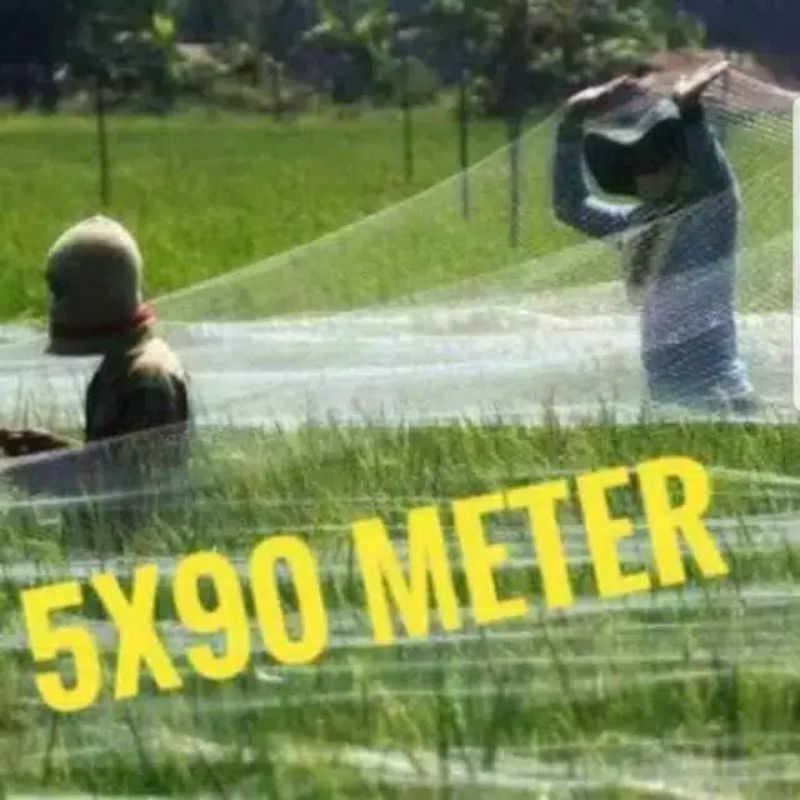 JARING BURUNG EMPRIT 2"/ JARING BURUNG PIPIT/ JARING BURUNG SAWAH/ JARING BURUNG PERKUTUT/ JARING BU