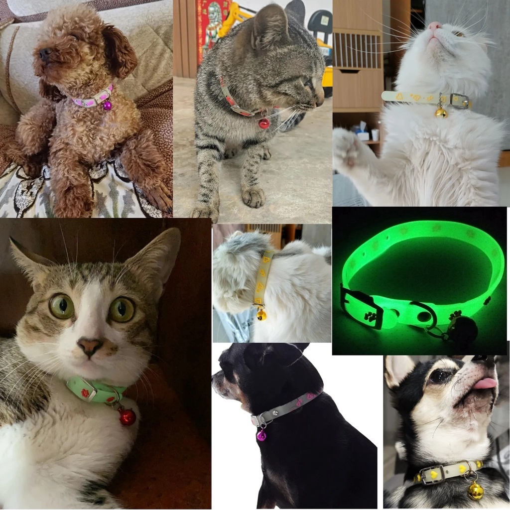 1 Pc Acak Silikon Neon Kerah Hewan Peliharaan Glow Di Malam Hari Anjing Kucing Kalung Anak Kucing Anjing Dress-Up Kerah Bercahaya Adjustable Bell Leher Cincin Hewan Peliharaan Luar Ruangan Anti-Hilang Aksesoris