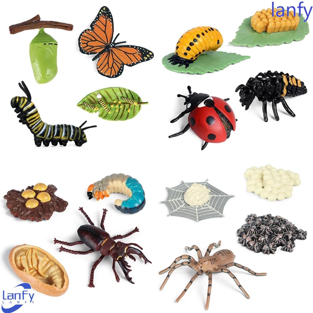 Lanfy Simulasi Hewan Ilmu Mainan Biologi Spider Serangga Hewan Model Plastik Bahan Mengajar Action Figure