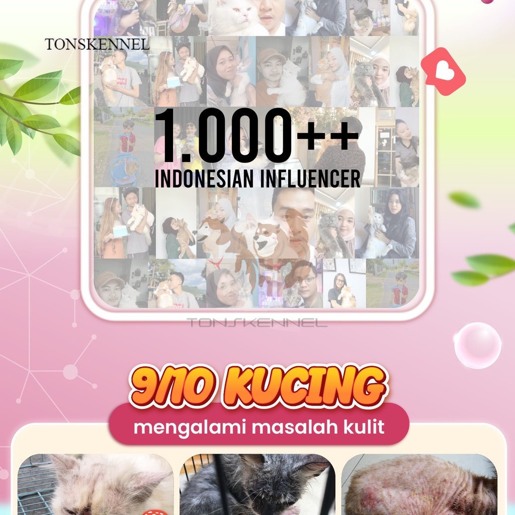 Olive Care Vitamin Kucing MASALAH KULIT KITTEN untuk Bulu Rontok, Jamur, Kutu, Scabies, Ringworm, Ruam dan Radang Kulit