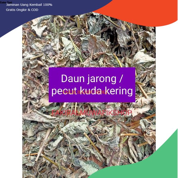 

PROMO DAUN PECUT KUDA / DAUN JARONG KERING BUNGA UNGU PECUT TERMURAH