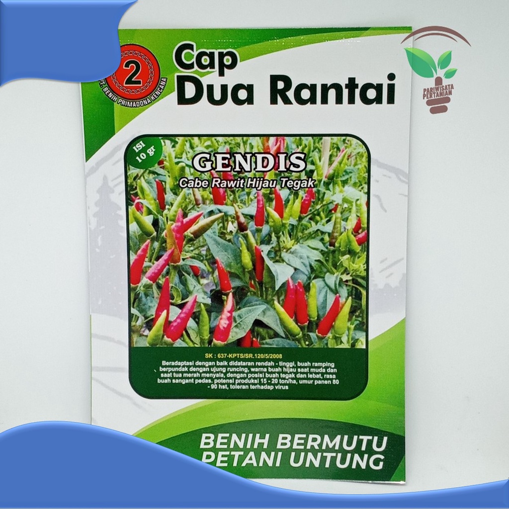 cabe rawit putih tegak cap dua rantai Gendis