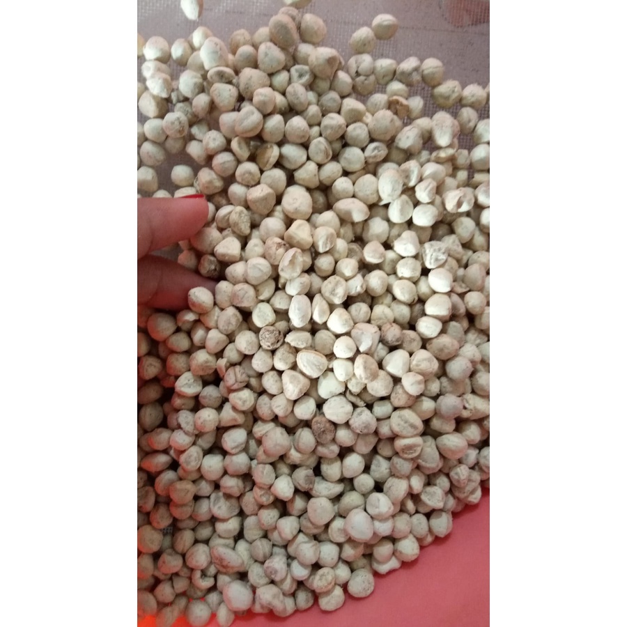 

Bubuk Biji Kelor Kupas 1 Kg Tanpa Kulit Organik Tanaman Herbal Nusantara Free Stiker PIRT Random