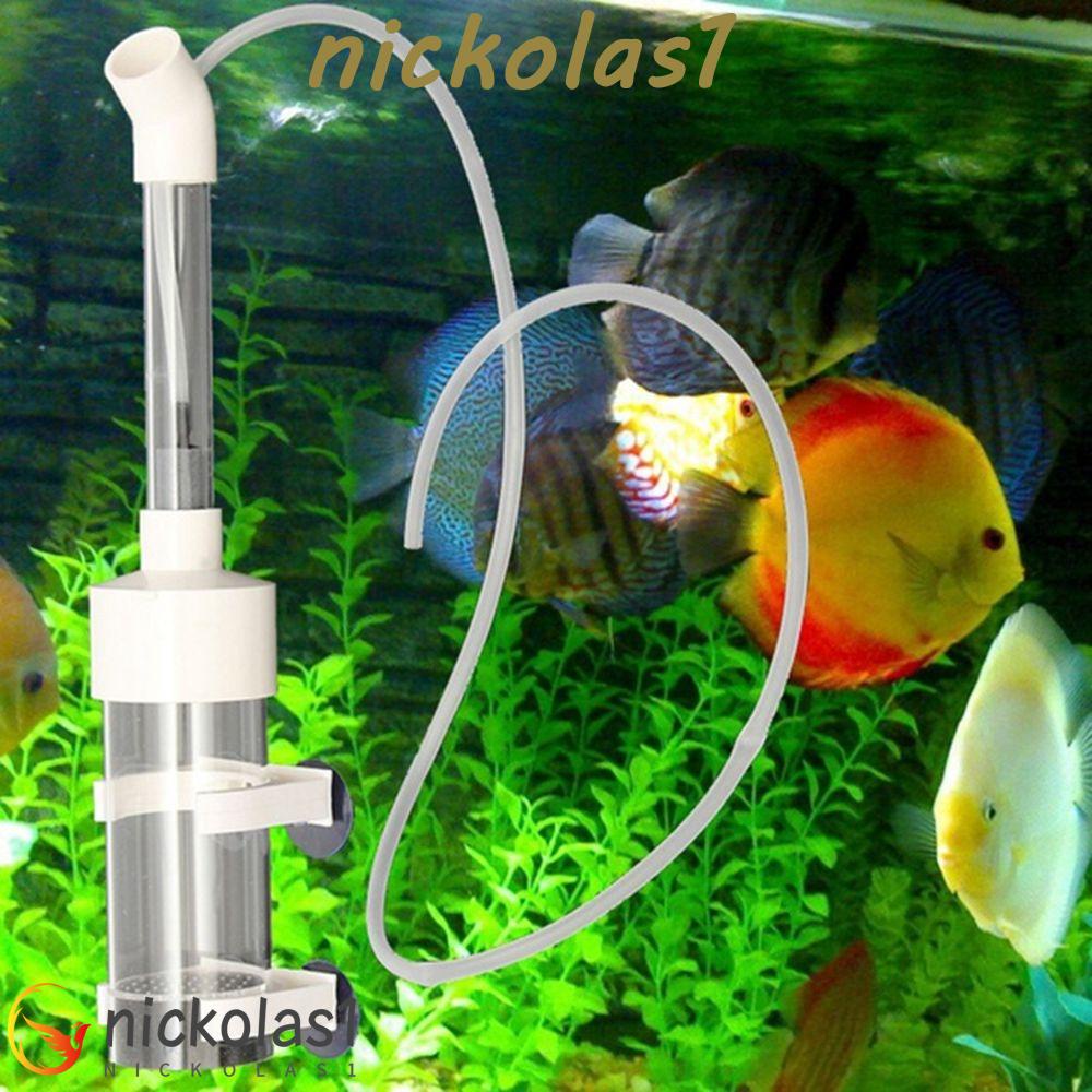 NICKOLAS1 Marocco galihggs galihatchery suketurable galihir alfinevice galihouth galihreeder galihish galihanks galihquarium mustofaccessories