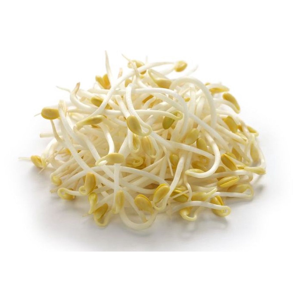 

Kecambah Atau Toge 250 Gram Tukang Sayur Online