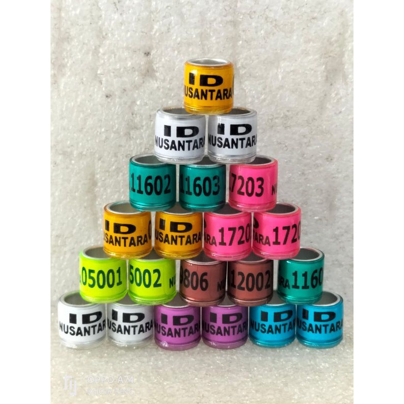 RING BURUNG MERPATI Mpos kentong balap tinggian