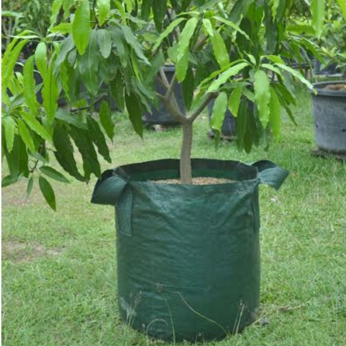PLANTER BAG EASY GROW 200 LITER POT TANAMAN BUAH HIJAU