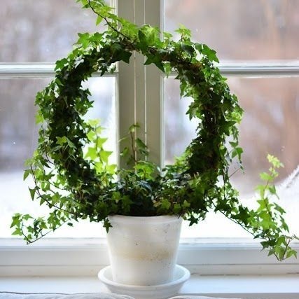 Loop Planters - 35cm Media Rambat Turus Besi Bulat Tanaman Hias