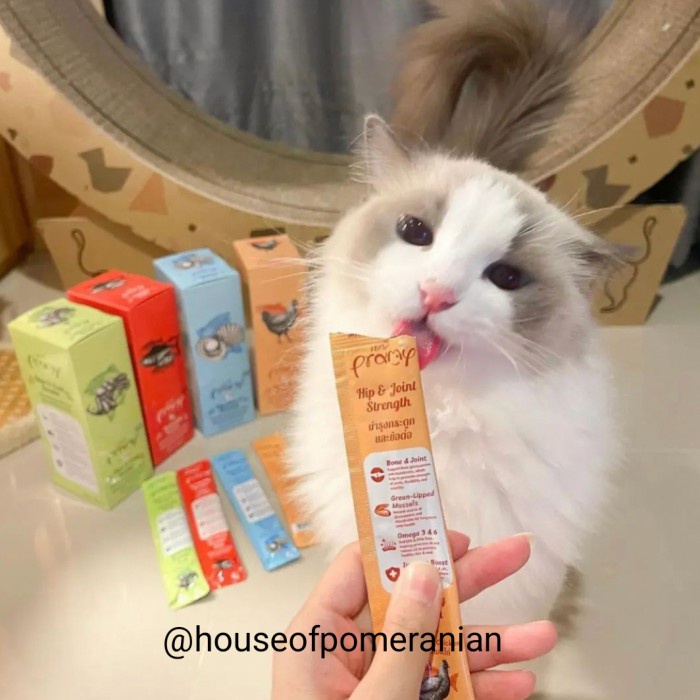 PRAMY CAT WET FOOD creamy treat vitamin supplement makanan kucing 14gr