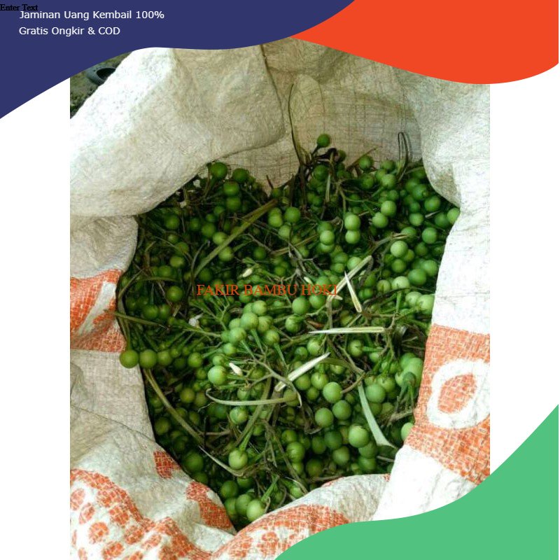 

PROMO BUAH TAKOKAK / TERUNG PIPIT / rimbung TERMURAH