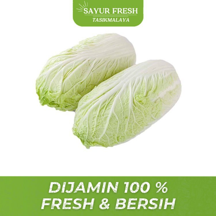 

Sayur Sawi Putih Fresh - SAYUR FRESH TASIKMALAYA