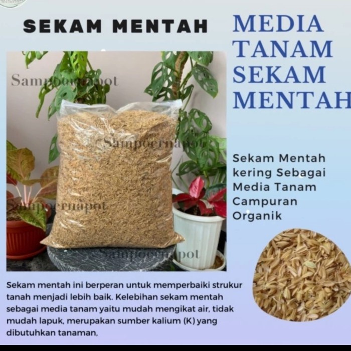 SEKAM PADI MENTAH PER PAK PACK