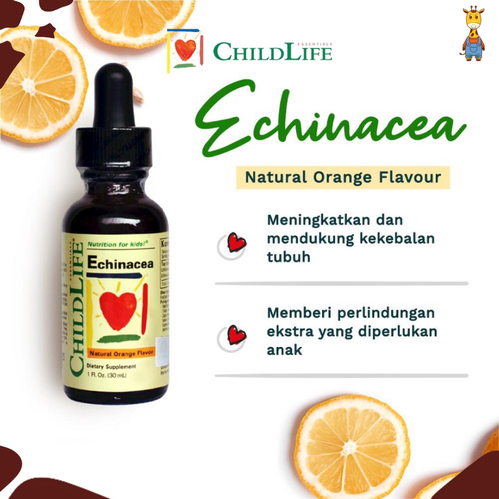 ChildLife Echinacea 30ml - Vitamin Kekebalan Tubuh Anak &amp; Bayi