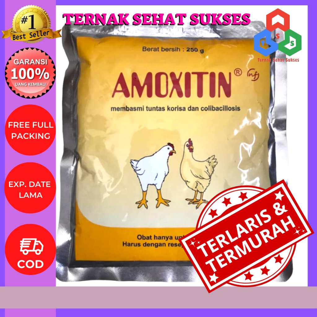 Amoxitin 250 gram MEDION obat korisa TSS