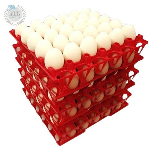 Tatakan Telor Kotak Telur / Tray Telur Plastik Tempat Telur Ayam Bebek OLS Rak Telur / Tatakan Telur / Tempat Penyimpanan Telur Egg Tray 30 Butir Bersusun Plastik PVC MURAH [COD]