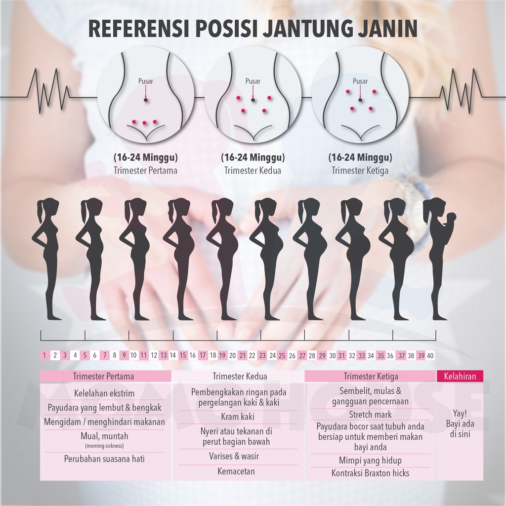 Fetal Doppler Fetal Dopler Alat Pendeteksi Jantung Janin Pendeteksi Detak Jantung Janin Alat Cek Detak Jantung Bayi Dalam Kandungan