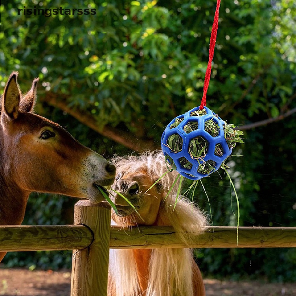 Rsid Span-new Horse Treat Ball Hay Toy Ball Mainan Makan Gantung Untuk Jelly Kambing Kuda