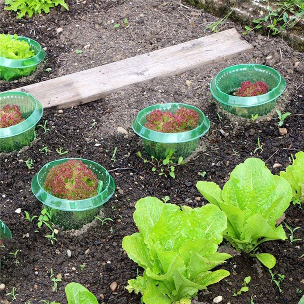 [Elegan] Cover Pelindung Sayur Awet Taman Plastik Tanam Pelindung Penutup Tanaman