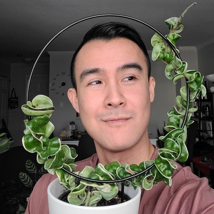 Loop Planters - 20cm Rambatan Besi Media Rambat Tanaman Dekorasi Bunga