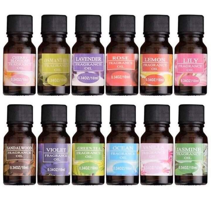 Essential Oil Aromatherapy Diffuser Pengharum Ruangan Fragrance Pewangi  Aroma Ruang Humidifier Minyak Wangi Reed Uap