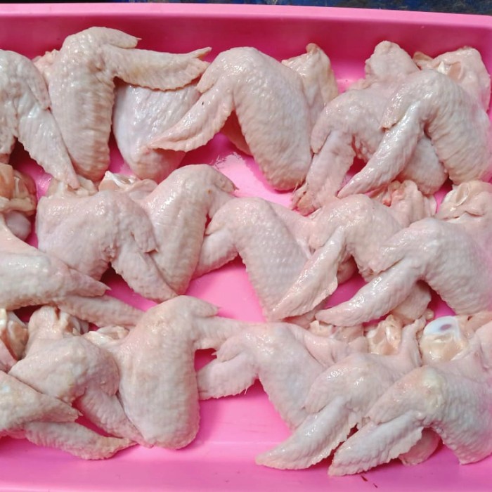 

sayapayam