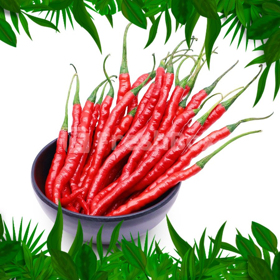 

SAYURAN FRESH NUSANTARA - Cabai Merah Keriting 100 gr