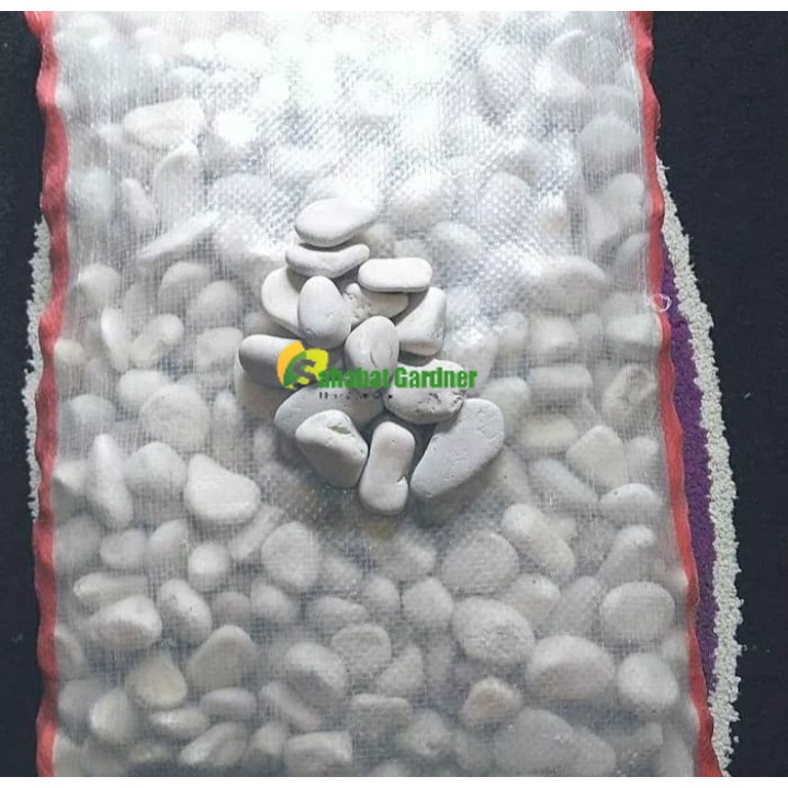 batu koral putih kecil 5 kg / batu hiasan taman dan akuarium / koral putih 5 kg