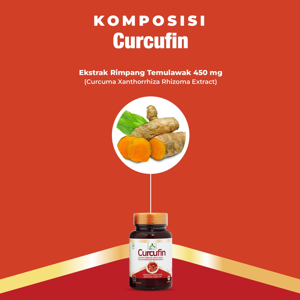 Kapsul Curcufin Obat Herbal Ekstrak Rimpang Temulawak Membantu Memelihara Fungsi Hati Atasi Hepatitis Gangguan Fungsi Hati