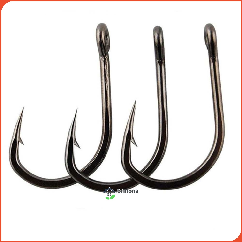 ISEAMA Kail Pancing Fishing Hook Barbed Carp Tackle - IS300