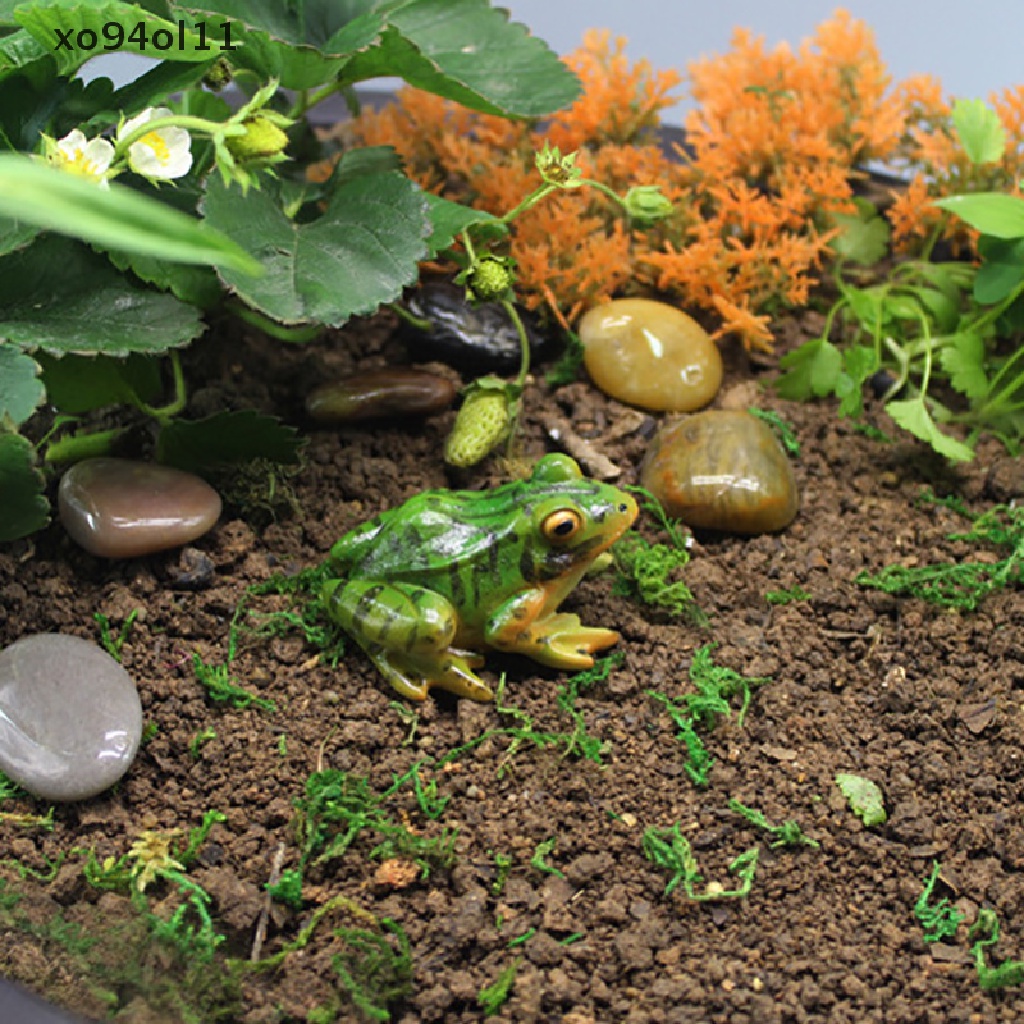 Xo Katak Lucu Mini Resin Kerajinan Taman Peri Miniatur DIY Dekorasi Lanskap Mikro OL