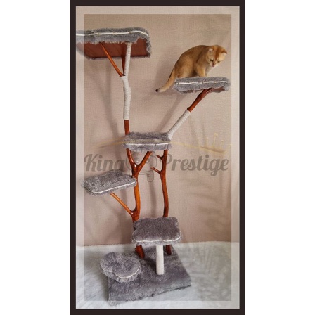 HidroAquatic - Cat Condo / Cat scratcher / Cat wall / Cat playground / Cat Toys